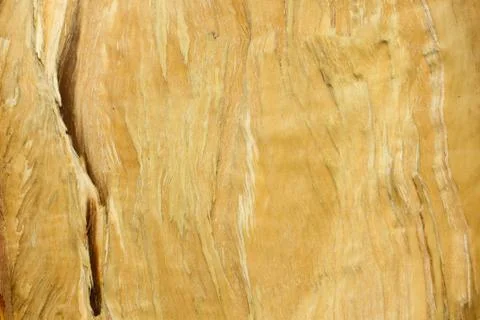 Break pine wood texture Stock Photos