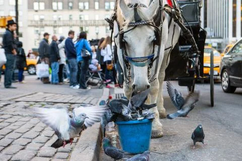 Break time Stock Photos