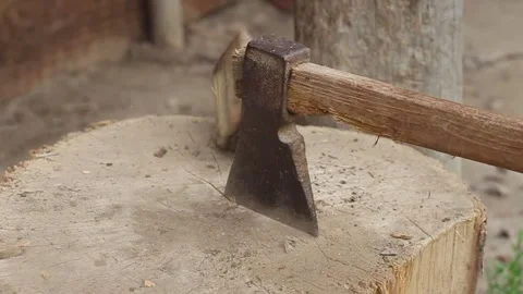 Break a wood with an ax Stock Footage 175369774