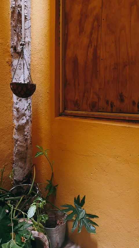 Break, yellow wall, rustic, door, wood, old, architecture, wooden, wall, house, Stock Footage 245862966