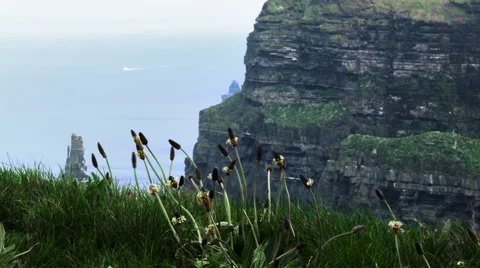 A breakage in Ireland with the ocean in the background Video stock 68520384