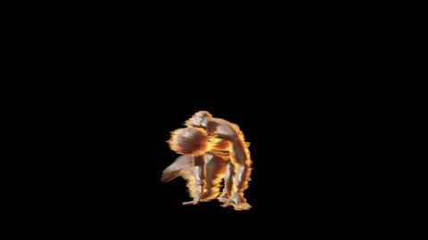 Breakdance - Hologram 05 Stock Footage 249172540