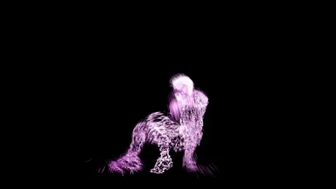 Breakdance - Neon Stock Footage 249173182