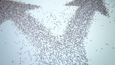 The Breakdown of Society. Stock Footage 73128050