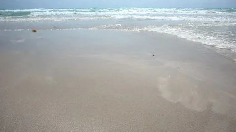 Breakers of Miami beach Stock Footage 8634506