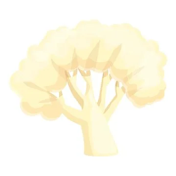 Breakfast cauliflower icon cartoon vector. Cabbage food Stock Illustration