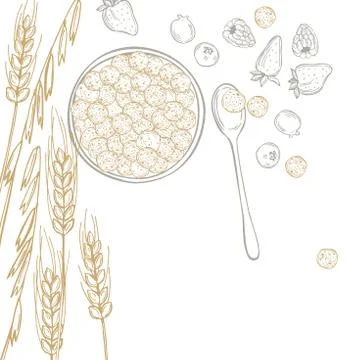 Breakfast cereals. Vector  illustration Stock Illustration