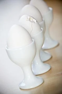 Breakfast eggs in egg cup Stock-Fotos