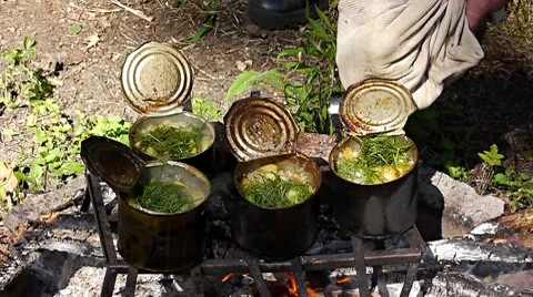 Breakfast in forest 库存影片 7758972