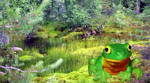 Breakfast of a frog Video stock 3400344