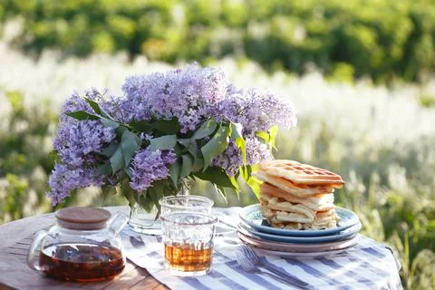Breakfast in the garden Stock-Fotos