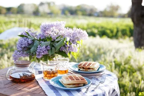 Breakfast in the garden Stock Photos