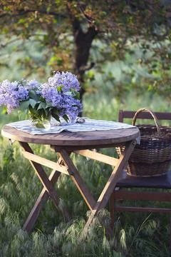 Breakfast in the garden Stock-Fotos