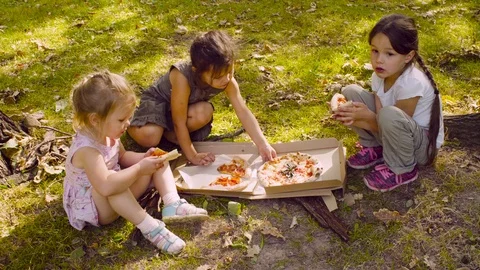 Breakfast on the grass Stock Footage 95484825