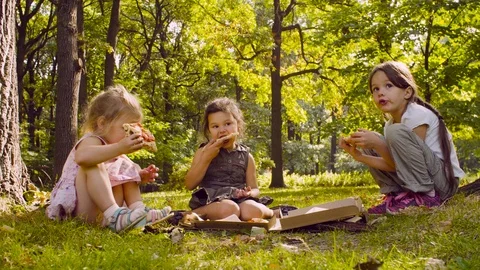 Breakfast on the grass Stock-Footage 95486559