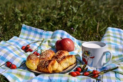 Breakfast in nature Stock Photos