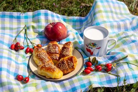 Breakfast in nature 스톡 사진