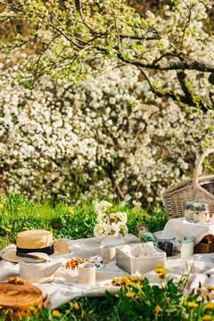 Breakfast picnic with waffles and tea in spring blossom garden on a white tab Stock Photos