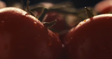 Breakfast preparation routine montage. Stock Footage 106063621