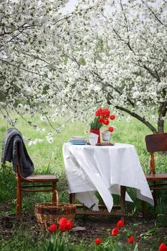 Breakfast in the spring garden Stock Photos