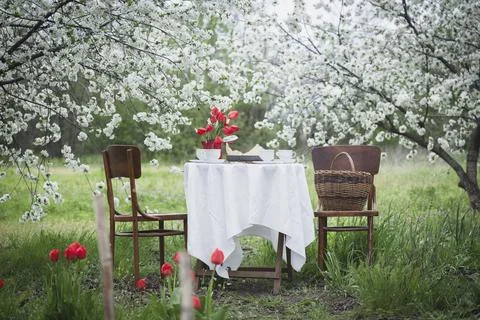Breakfast in the spring garden Stock Photos