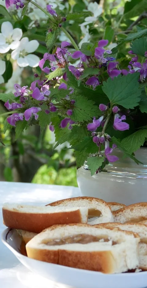 Breakfast in the spring garden on a table with a white tablecloth, served for a Stock Footage 307168002