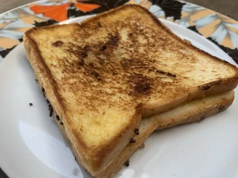 Breakfast with toasted 库存照片