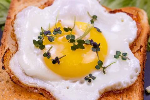 Breakfast - toasts, fried egg and microgreens macro close up food background. Stock Photos