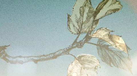 Breaking a branch on a blue background Stock Footage 53898918