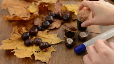 Breaking a chestnut to use it as a hat 스톡 동영상 43253108