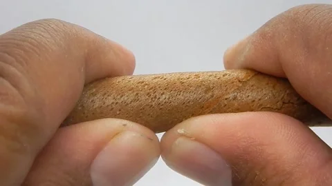 Breaking Chocolate Wafer Stock Footage 220634724