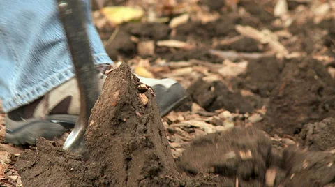 Breaking up dirt for gardening Video stock 33893390