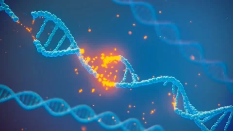 Breaking DNA double helix. Concept of molecular structure of human cell.  4K Stock Footage 201227043
