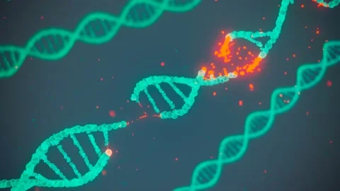 Breaking DNA double helix. Concept of molecular structure of human cell.  4K Stock Footage 201227089