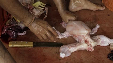 Breaking Down the Chicken - A Comprehensive Cutting Guide Stock Footage 320947151