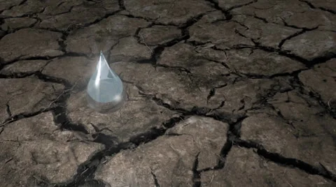 Breaking the drought Stock Footage 24069466