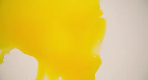 Breaking Egg bottom view Slow motion closeup Stock Footage 103643015