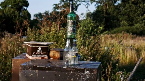 Breaking a glass bottle Stock Footage 113865657