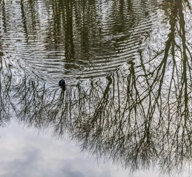Breaking the lines Foto stock
