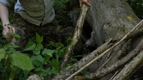 Breaking Log In Slow Motion Stock Footage 91138956