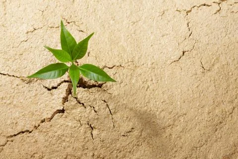 Breaking out Stock Photos