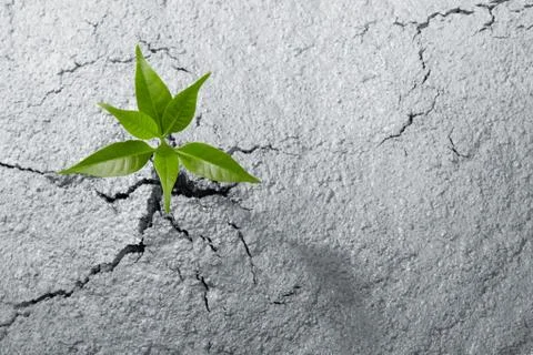 Breaking out Stock Photos