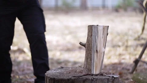 Breaking a part of a log into pieces. Slow motion video Stock Footage 234536178