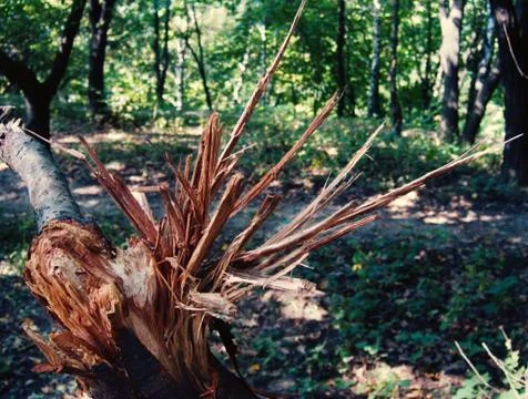 Breaking Stock Photos