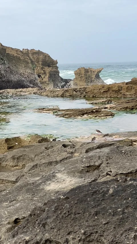 Breaking sea waves Stock Footage 333580953
