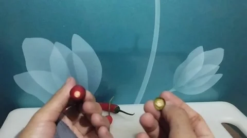 Breaking the Stem of a Large Red Chili Pepper Stock Footage 229306128