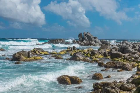 Breaking surf Aruba Stock Photos