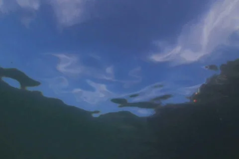 Breaking Surface SD NTSC Stock Footage 387892