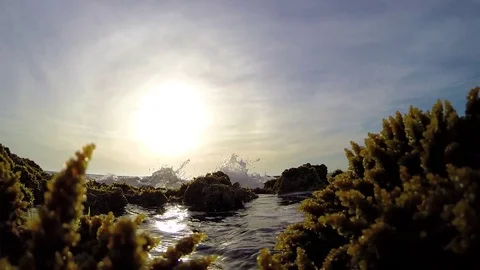 Breaking wave on the camera Stock Footage 79218609
