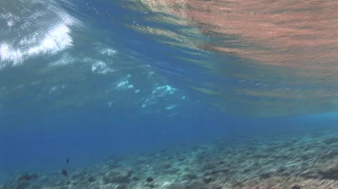 Breaking Wave Video stock 53217530